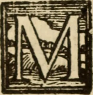An illustration from Angeli Aretini De maleficiis tractatus : de inquirendis animaduertendisq[ue] criminibus, opus nedum vtile, sed necessarium omnibus, maxime ijs, qui ad prouincias regendas constituti sunt ; cui tractatus Alberti de Gandino, nec non Bonifacii de Vitellinis, vnà cum apostillis Augustini de Arimino, & Hieronymi Chuchalon, veluti apendices subiecimus ... cum eiusdem Angeli vita, 1573, leaf 105