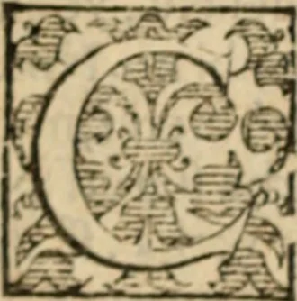 An illustration from Angeli Aretini De maleficiis tractatus : de inquirendis animaduertendisq[ue] criminibus, opus nedum vtile, sed necessarium omnibus, maxime ijs, qui ad prouincias regendas constituti sunt ; cui tractatus Alberti de Gandino, nec non Bonifacii de Vitellinis, vnà cum apostillis Augustini de Arimino, & Hieronymi Chuchalon, veluti apendices subiecimus ... cum eiusdem Angeli vita, 1573, leaf 179