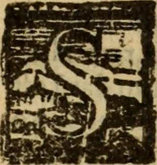 An illustration from Angeli Aretini De maleficiis tractatus : de inquirendis animaduertendisq[ue] criminibus, opus nedum vtile, sed necessarium omnibus, maxime ijs, qui ad prouincias regendas constituti sunt ; cui tractatus Alberti de Gandino, nec non Bonifacii de Vitellinis, vnà cum apostillis Augustini de Arimino, & Hieronymi Chuchalon, veluti apendices subiecimus ... cum eiusdem Angeli vita, 1573, leaf 278