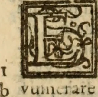 An illustration from Angeli Aretini De maleficiis tractatus : de inquirendis animaduertendisq[ue] criminibus, opus nedum vtile, sed necessarium omnibus, maxime ijs, qui ad prouincias regendas constituti sunt ; cui tractatus Alberti de Gandino, nec non Bonifacii de Vitellinis, vnà cum apostillis Augustini de Arimino, & Hieronymi Chuchalon, veluti apendices subiecimus ... cum eiusdem Angeli vita, 1573, leaf 380
