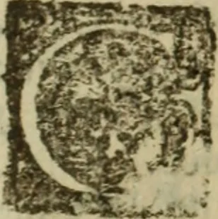 An illustration from Angeli Aretini De maleficiis tractatus : de inquirendis animaduertendisq[ue] criminibus, opus nedum vtile, sed necessarium omnibus, maxime ijs, qui ad prouincias regendas constituti sunt ; cui tractatus Alberti de Gandino, nec non Bonifacii de Vitellinis, vnà cum apostillis Augustini de Arimino, & Hieronymi Chuchalon, veluti apendices subiecimus ... cum eiusdem Angeli vita, 1573, leaf 502