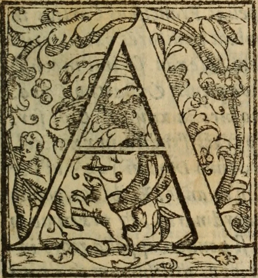 An illustration from Angeli Aretini De maleficiis tractatus : de inquirendis animaduertendisq[ue] criminibus, opus nedum vtile, sed necessarium omnibus, maxime ijs, qui ad prouincias regendas constituti sunt ; cui tractatus Alberti de Gandino, nec non Bonifacii de Vitellinis, vnà cum apostillis Augustini de Arimino, & Hieronymi Chuchalon, veluti apendices subiecimus ... cum eiusdem Angeli vita, 1573, leaf 6