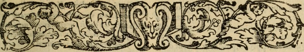An illustration from Angeli Aretini De maleficiis tractatus : de inquirendis animaduertendisq[ue] criminibus, opus nedum vtile, sed necessarium omnibus, maxime ijs, qui ad prouincias regendas constituti sunt ; cui tractatus Alberti de Gandino, nec non Bonifacii de Vitellinis, vnà cum apostillis Augustini de Arimino, & Hieronymi Chuchalon, veluti apendices subiecimus ... cum eiusdem Angeli vita, 1573, leaf 624