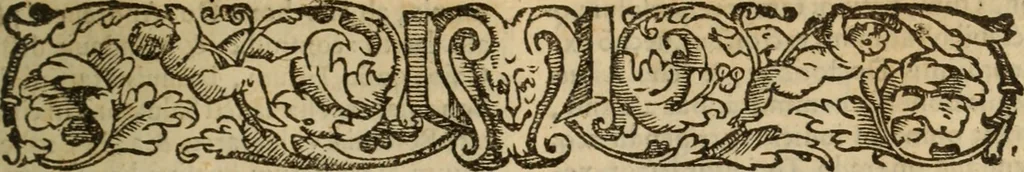 An illustration from Angeli Aretini De maleficiis tractatus : de inquirendis animaduertendisq[ue] criminibus, opus nedum vtile, sed necessarium omnibus, maxime ijs, qui ad prouincias regendas constituti sunt ; cui tractatus Alberti de Gandino, nec non Bonifacii de Vitellinis, vnà cum apostillis Augustini de Arimino, & Hieronymi Chuchalon, veluti apendices subiecimus ... cum eiusdem Angeli vita, 1573, leaf 72