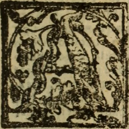 An illustration from Angeli Aretini De maleficiis tractatus : de inquirendis animaduertendisq[ue] criminibus, opus nedum vtile, sed necessarium omnibus, maxime ijs, qui ad prouincias regendas constituti sunt ; cui tractatus Alberti de Gandino, nec non Bonifacii de Vitellinis, vnà cum apostillis Augustini de Arimino, & Hieronymi Chuchalon, veluti apendices subiecimus ... cum eiusdem Angeli vita, 1573, leaf 8