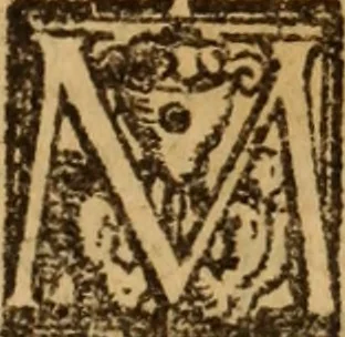 An illustration from Angeli Aretini De maleficiis tractatus : de inquirendis animaduertendisq[ue] criminibus, opus nedum vtile, sed necessarium omnibus, maxime ijs, qui ad prouincias regendas constituti sunt ; cui tractatus Alberti de Gandino, nec non Bonifacii de Vitellinis, vnà cum apostillis Augustini de Arimino, & Hieronymi Chuchalon, veluti apendices subiecimus ... cum eiusdem Angeli vita, 1573, leaf 990