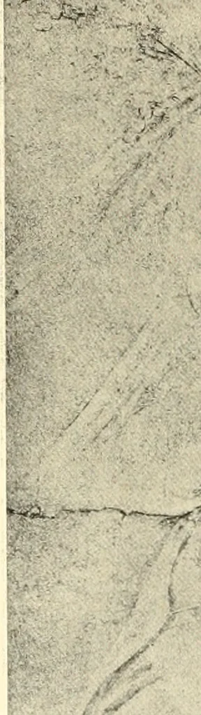 An illustration from The angel of thought, and other poems; impressions from old masters, 1909, leaf 31