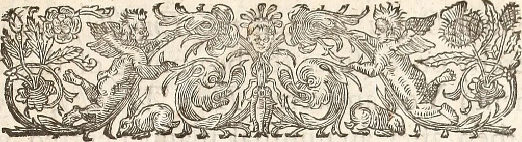 An illustration from Anglia rediviva; = Englands recovery: being the history of the motions, actions, and successes of the army under the immediate conduct of His Excellency Sr. Thomas Fairfax, Kt. Captain-General of all the Parliaments forces in England., 1647, leaf 12