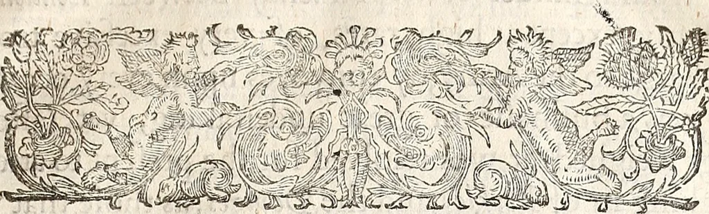 An illustration from Anglia rediviva; = Englands recovery: being the history of the motions, actions, and successes of the army under the immediate conduct of His Excellency Sr. Thomas Fairfax, Kt. Captain-General of all the Parliaments forces in England., 1647, leaf 158