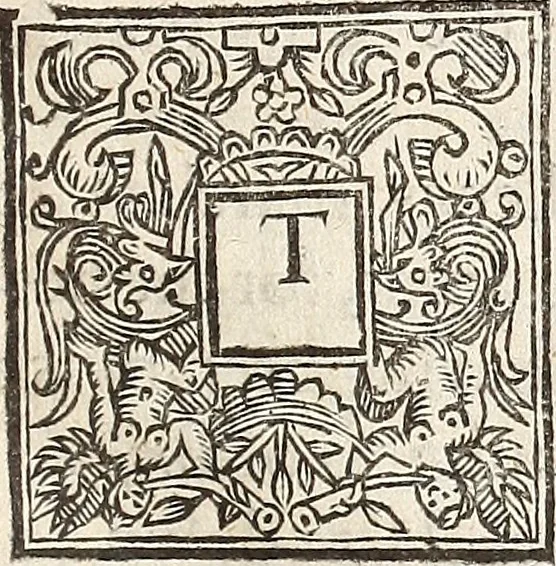 An illustration from Anglia rediviva; = Englands recovery: being the history of the motions, actions, and successes of the army under the immediate conduct of His Excellency Sr. Thomas Fairfax, Kt. Captain-General of all the Parliaments forces in England., 1647, leaf 158