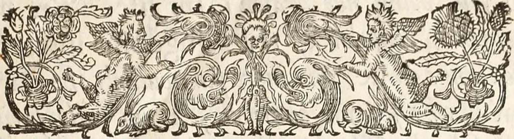 An illustration from Anglia rediviva; = Englands recovery: being the history of the motions, actions, and successes of the army under the immediate conduct of His Excellency Sr. Thomas Fairfax, Kt. Captain-General of all the Parliaments forces in England., 1647, leaf 16