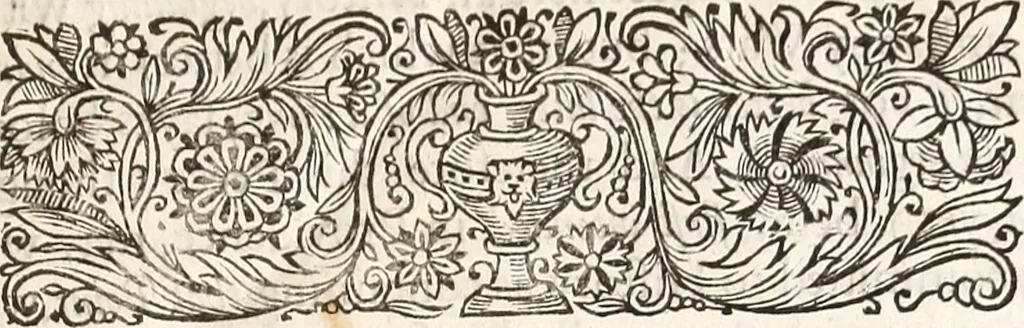 An illustration from Anglia rediviva; = Englands recovery: being the history of the motions, actions, and successes of the army under the immediate conduct of His Excellency Sr. Thomas Fairfax, Kt. Captain-General of all the Parliaments forces in England., 1647, leaf 20