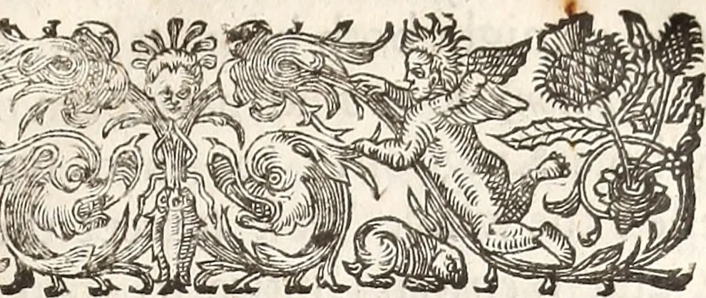 An illustration from Anglia rediviva; = Englands recovery: being the history of the motions, actions, and successes of the army under the immediate conduct of His Excellency Sr. Thomas Fairfax, Kt. Captain-General of all the Parliaments forces in England., 1647, leaf 90
