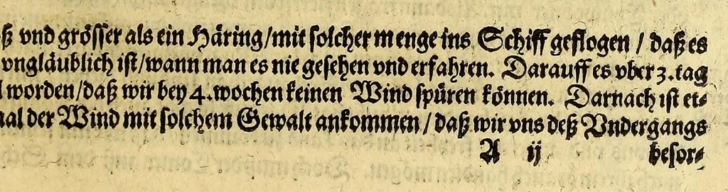 An illustration from Anhang der Beschreibung dess Königreichs Congo. : Innhaltend, fünff Schiffarten Samuel Brauns Burgers vnd Wundartzt zu Basel, so er kurtz verwichener Jahren in vnderschiedliche weit entlegene frembde Konigreich vnd Landschafften glücklich gethan, nemlich in Africam vnd dessen Provincien Congo, Bansa Loanga, Angola, Guinea, Morenland, Bennin, Amboisa, vnd zu dem Festen Castell Nassaw in More. Item gen Alexandriam in Syrien, in Portugal, Hispanien, Italien, wie auch vnderschiedliche Insuln, als da sind die Canarian, Medera, Cales Males, Malta, Candia, Cypern, Sicilien, Sardegna, Corfu, und ander mehr, biss zu seiner wider Ankunsst in Holland., 1625, leaf 13