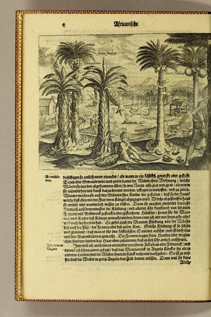An illustration from Anhang der Beschreibung dess Königreichs Congo. : Innhaltend, fünff Schiffarten Samuel Brauns Burgers vnd Wundartzt zu Basel, so er kurtz verwichener Jahren in vnderschiedliche weit entlegene frembde Konigreich vnd Landschafften glücklich gethan, nemlich in Africam vnd dessen Provincien Congo, Bansa Loanga, Angola, Guinea, Morenland, Bennin, Amboisa, vnd zu dem Festen Castell Nassaw in More. Item gen Alexandriam in Syrien, in Portugal, Hispanien, Italien, wie auch vnderschiedliche Insuln, als da sind die Canarian, Medera, Cales Males, Malta, Candia, Cypern, Sicilien, Sardegna, Corfu, und ander mehr, biss zu seiner wider Ankunsst in Holland., 1625, leaf 16