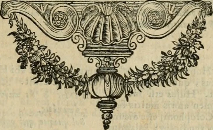 An illustration from Anicii Manlii Severini Boëtii ... Consolationis philosophiæ libros quinque, 1680, leaf 368