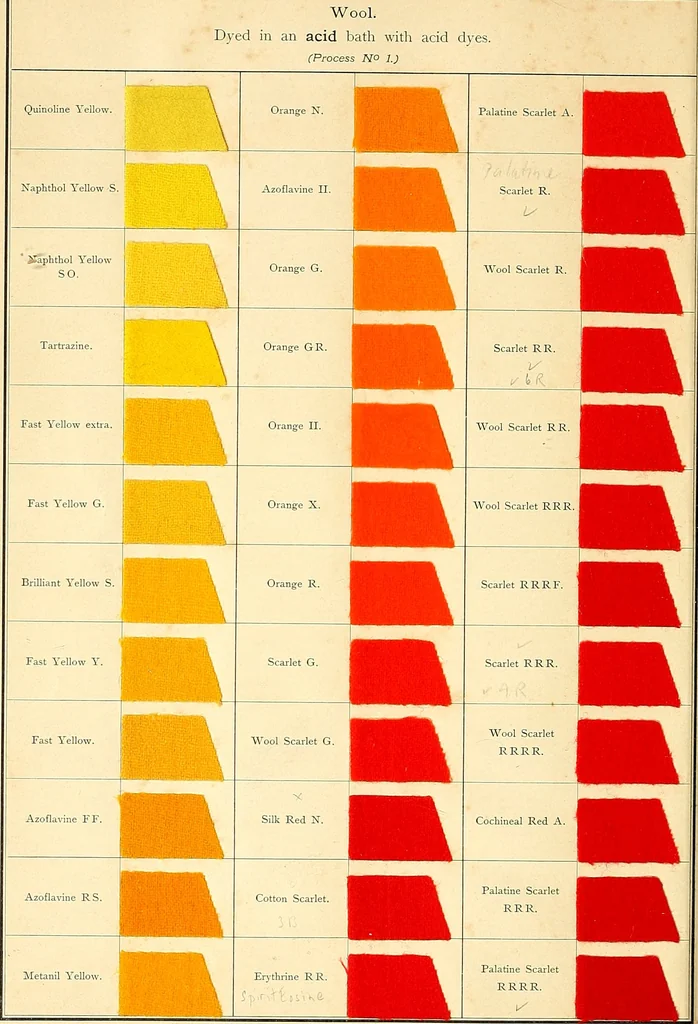 An illustration from The aniline colours of the Badische Anilin- & Soda-Fabrik, Ludwigshafen on Rhine and their application on wool, cotton, silk and other textile fibres, 1901, leaf 151