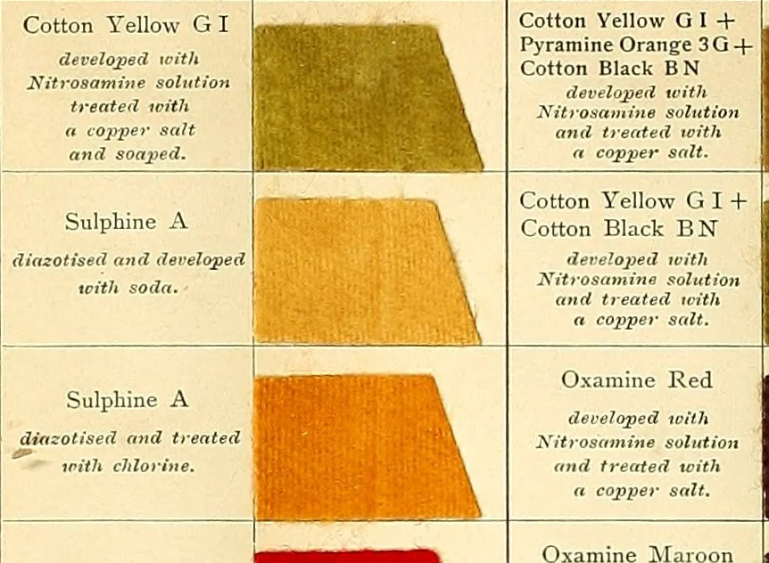 An illustration from The aniline colours of the Badische Anilin- & Soda-Fabrik, Ludwigshafen on Rhine and their application on wool, cotton, silk and other textile fibres, 1901, leaf 263
