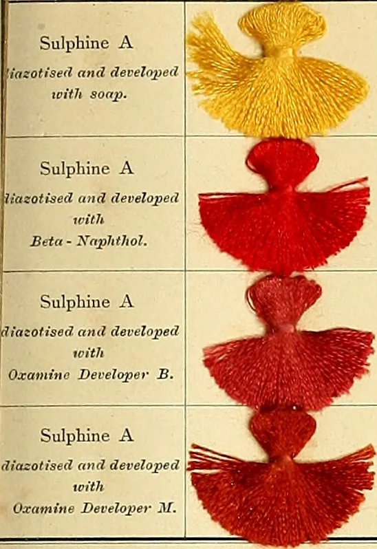 An illustration from The aniline colours of the Badische Anilin- & Soda-Fabrik, Ludwigshafen on Rhine and their application on wool, cotton, silk and other textile fibres, 1901, leaf 296