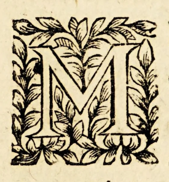 An illustration from Animadversiones in librum Prae-Adamitarum. : In quibus confutatur nuperus scriptor, et primum omnium hominum fuisse Adamum defenditur., 1656, leaf 13