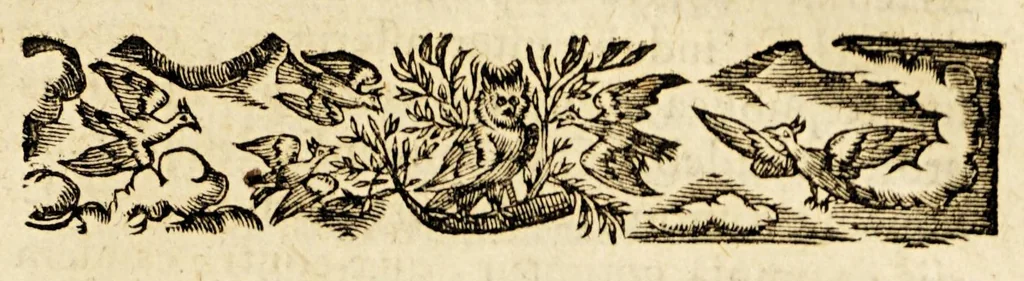 An illustration from Animadversiones in librum Prae-Adamitarum. : In quibus confutatur nuperus scriptor, et primum omnium hominum fuisse Adamum defenditur., 1656, leaf 35