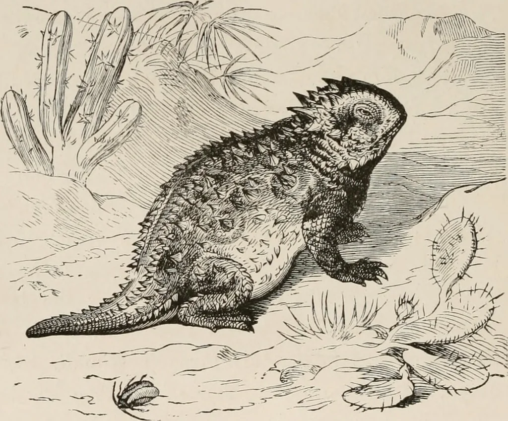 An illustration from Animal coloration; an account of the principal facts and theories relating to the colours and markings of animals, 1892, leaf 159