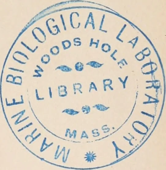 An illustration from Animal coloration; an account of the principal facts and theories relating to the colours and markings of animals, 1892, leaf 6