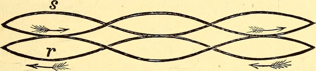 An illustration from Animal locomotion, or Walking, swimming, and flying, with a dissertation on aëronautics, 1874, leaf 122