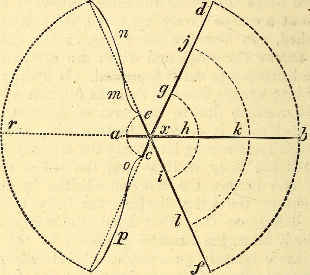 An illustration from Animal locomotion, or Walking, swimming, and flying, with a dissertation on aëronautics, 1874, leaf 145