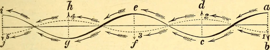 An illustration from Animal locomotion, or Walking, swimming, and flying, with a dissertation on aëronautics, 1874, leaf 182