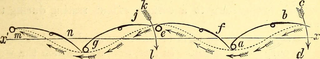 An illustration from Animal locomotion, or Walking, swimming, and flying, with a dissertation on aëronautics, 1874, leaf 188