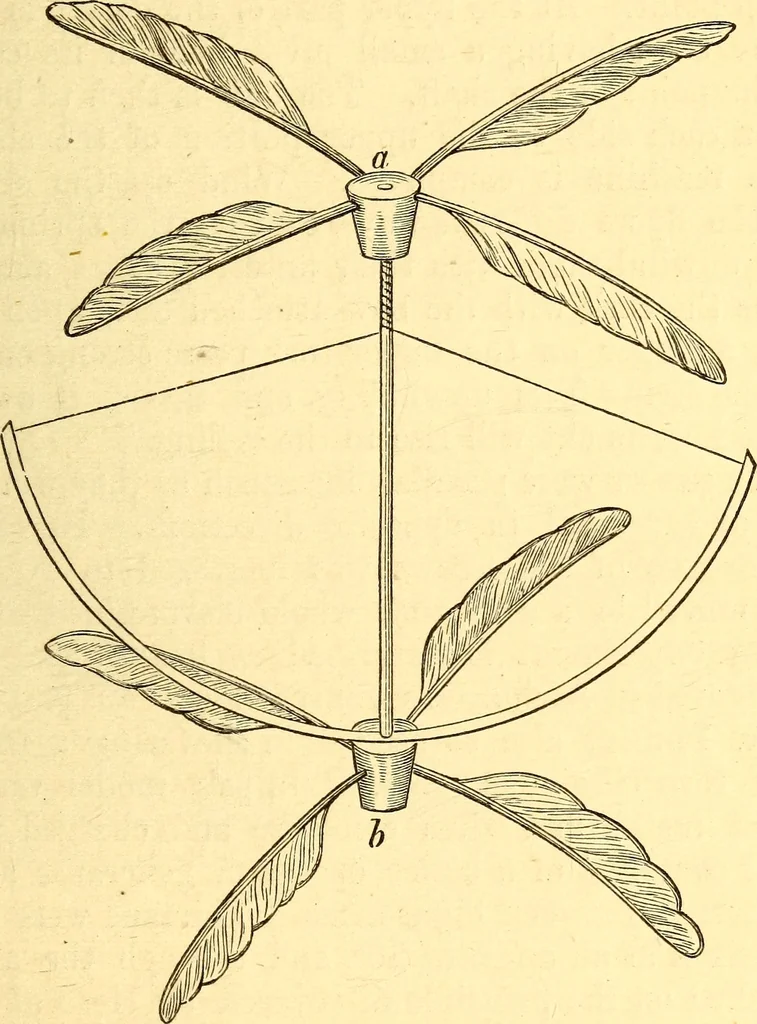 An illustration from Animal locomotion, or Walking, swimming, and flying, with a dissertation on aëronautics, 1874, leaf 242