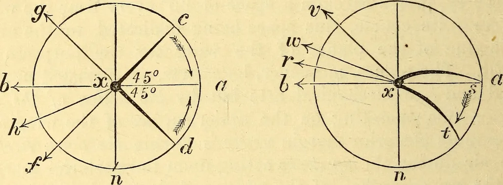 An illustration from Animal locomotion, or Walking, swimming, and flying, with a dissertation on aëronautics, 1874, leaf 255