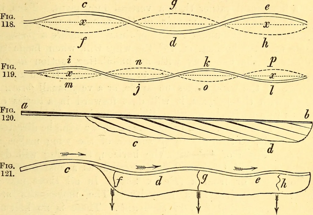 An illustration from Animal locomotion, or Walking, swimming, and flying, with a dissertation on aëronautics, 1874, leaf 264
