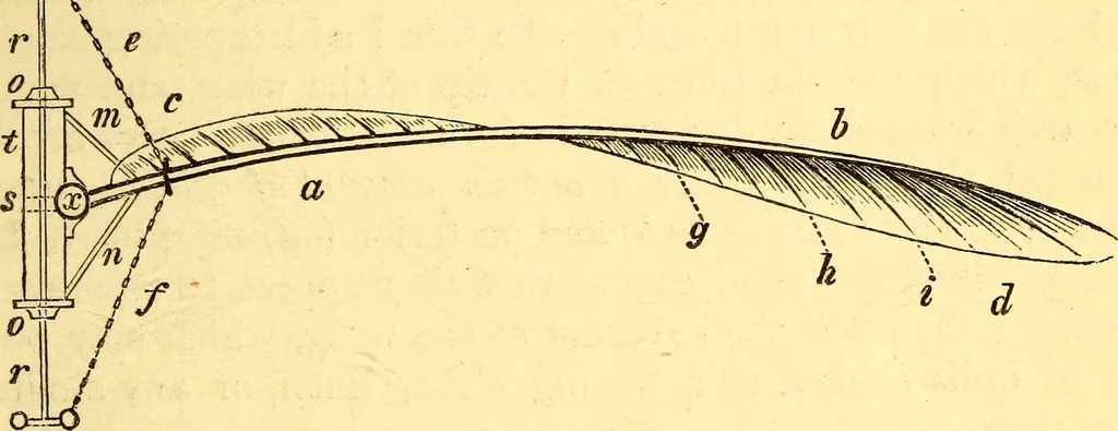 An illustration from Animal locomotion, or Walking, swimming, and flying, with a dissertation on aëronautics, 1874, leaf 266