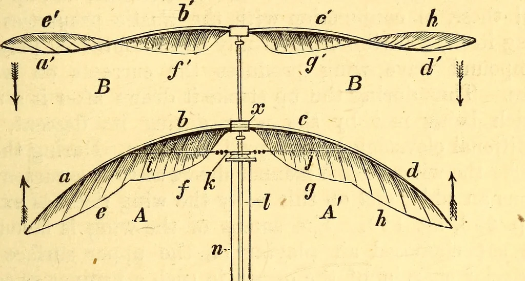 An illustration from Animal locomotion, or Walking, swimming, and flying, with a dissertation on aëronautics, 1874, leaf 270