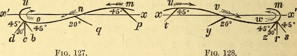 An illustration from Animal locomotion, or Walking, swimming, and flying, with a dissertation on aëronautics, 1874, leaf 277
