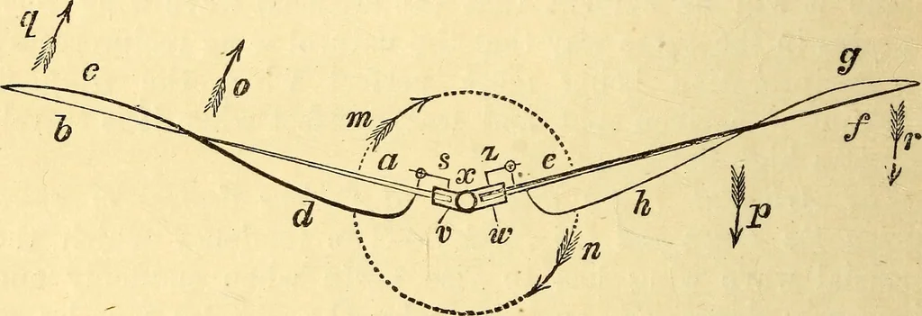 An illustration from Animal locomotion, or Walking, swimming, and flying, with a dissertation on aëronautics, 1874, leaf 283