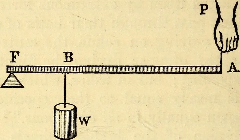 An illustration from Animal locomotion, or Walking, swimming, and flying, with a dissertation on aëronautics, 1874, leaf 45