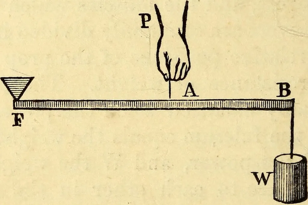 An illustration from Animal locomotion, or Walking, swimming, and flying, with a dissertation on aëronautics, 1874, leaf 45