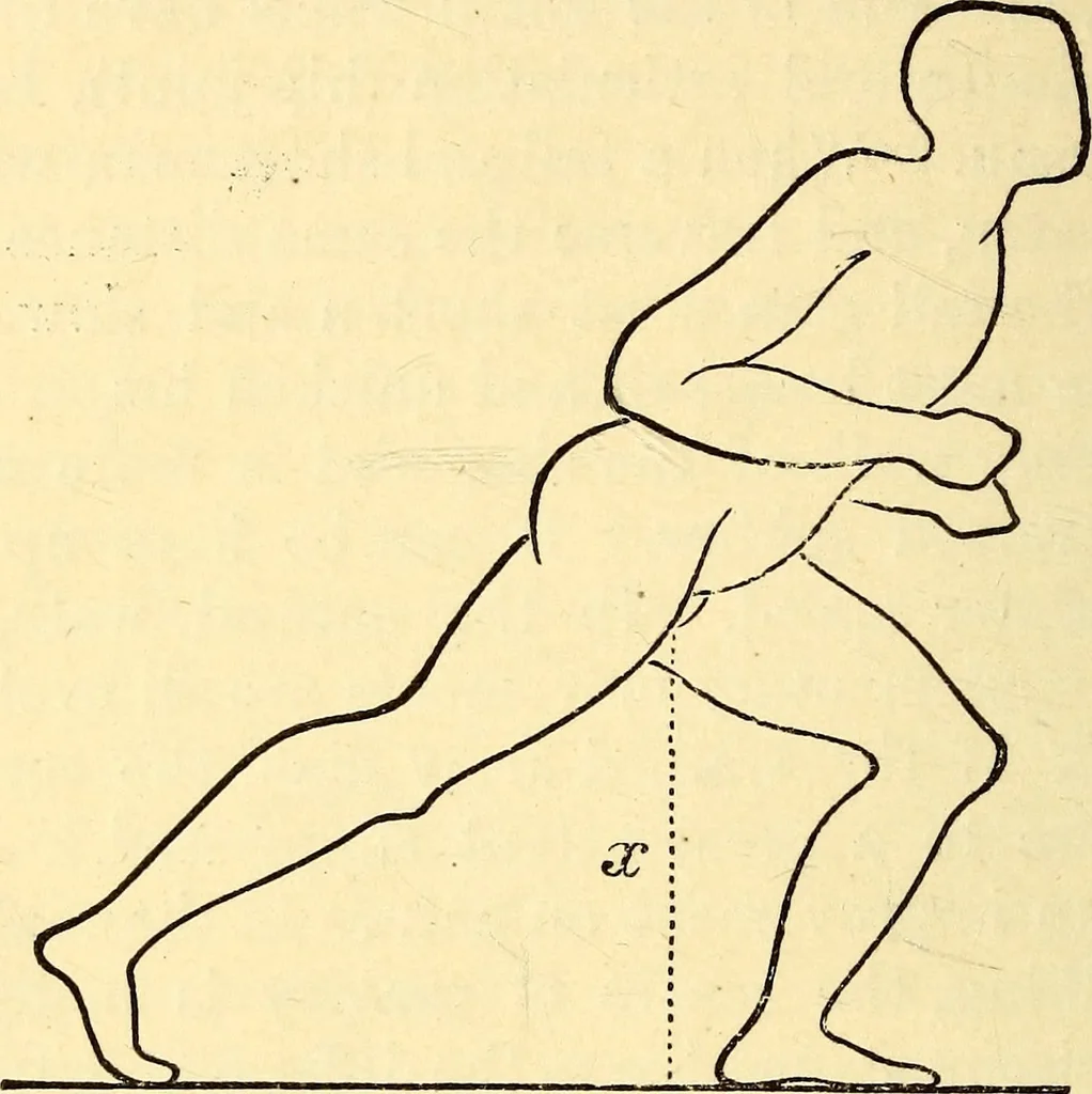 An illustration from Animal locomotion, or Walking, swimming, and flying, with a dissertation on aëronautics, 1874, leaf 87