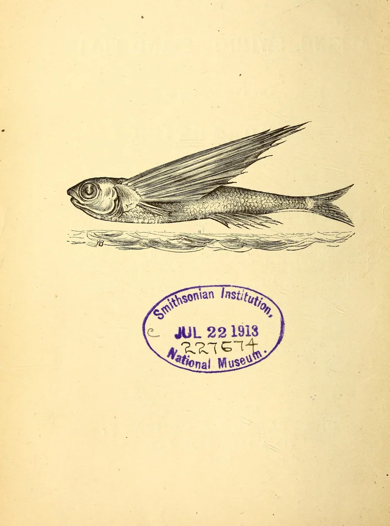 An illustration from Animal locomotion, or Walking, swimming, and flying, with a dissertation on aëronautics, 1874, leaf 9
