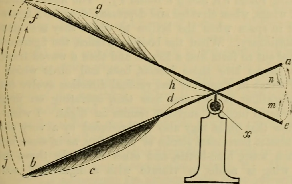 An illustration from Animal locomotion or walking, swimming, and flying : with a dissertation on aëronautics, 1873, leaf 130