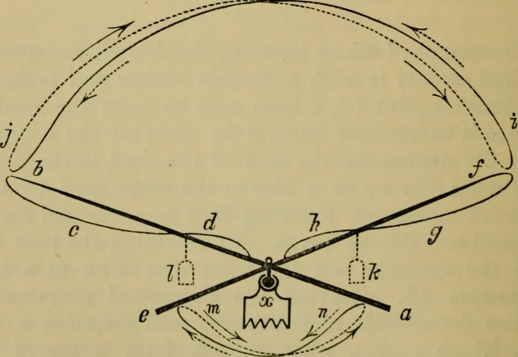 An illustration from Animal locomotion or walking, swimming, and flying : with a dissertation on aëronautics, 1873, leaf 131