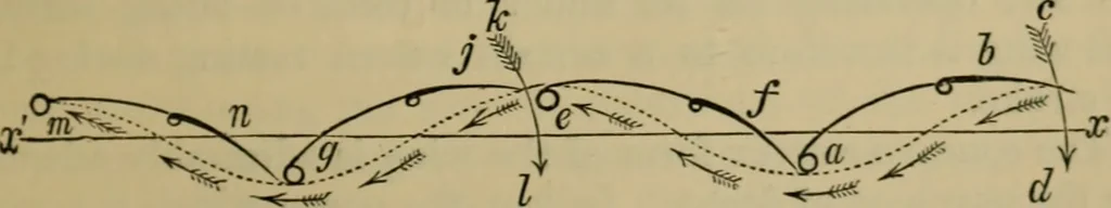 An illustration from Animal locomotion or walking, swimming, and flying : with a dissertation on aëronautics, 1873, leaf 186