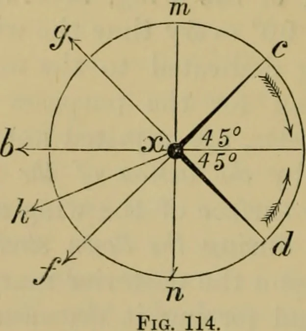 An illustration from Animal locomotion or walking, swimming, and flying : with a dissertation on aëronautics, 1873, leaf 253