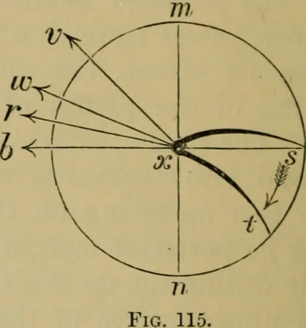 An illustration from Animal locomotion or walking, swimming, and flying : with a dissertation on aëronautics, 1873, leaf 253