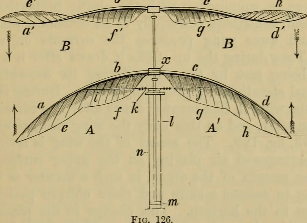 An illustration from Animal locomotion or walking, swimming, and flying : with a dissertation on aëronautics, 1873, leaf 268