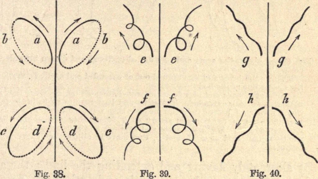 An illustration from Animal locomotion, or Walking, swimming, and flying, with a dissertation on aëronautics, 1874, leaf 106