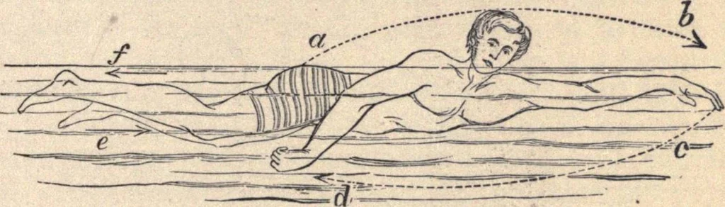 An illustration from Animal locomotion, or Walking, swimming, and flying, with a dissertation on aëronautics, 1874, leaf 110